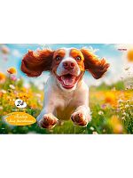 Альбом для рис.24л. Проф-Пресс "Улыбка пёсика" 24-7879 на скобе,лён