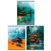 Тетрадь 80л. (клетка) А4 ПЗБФ "Гармония природы" 023416 сплошн.уф-лак,асс.