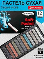 Пастель худ. 12цв. ACMELIAE "Серые тона" SPG-12 сухая,мягкая,к/к