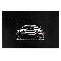 Папка д/тетрадей А4 ФЕНИКС "Финиш" 69305 полипропилен,1отд.,на кнопке