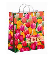 Пакет подар. пластик. 23*27см Пора тюльпанов