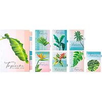 Разделитель листов картон. А5 deVENTE "Tropicana" 3051415 лам. мел. с рис. (8шт.)