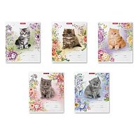 Тетрадь 12л. (клетка) EK "Мурзики" 48820 асс.