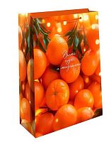 Пакет подар. Арт Дизайн 11,5*14,5*6,5см НГ 0191.588