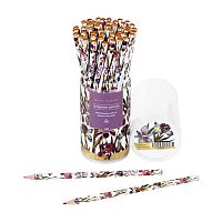 Карандаш ч/гр. BV "Флора.Ирисы" 21-0030/100 ТМ,трёхгр.,гриф.2мм
