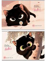 Альбом для рис.12л. Проф-Пресс "Озорной чёрный кот-1" 12-7277 бл.-офсет,на скобе,асс.