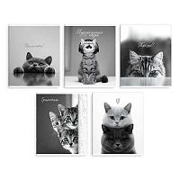 Тетрадь 48л. (клетка) ФЕНИКС "Монохромные коты" 70920 выб.твин лак,мел.карт.,асс.