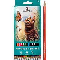 Карандаши 12цв. ATTOMEX "Zoo" 5022810 М,шестигр.,к/к