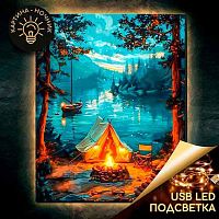 Картина по номерам LED подсветка Котеин "У костра" 40*50см LHR0022 (26цв.)