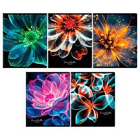 Тетрадь 48л. (клетка) BG "Increaible flowering" 08809 глянц.лам.,асс.