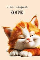 Открытка  Арт Дизайн "С Днём рождения, котик!" 0480.309