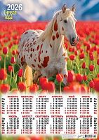 Календарь настенный листовой А2 2026г. ЛИС "Символ года.Поле тюльпанов" ПО-26-039 мел.бум.,80г/м2