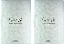 Папка с клипом BV А4+ "Листочки. Пёрышки" 14-040, 2в.