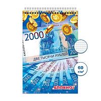 Блокнот ПС 48л. "Деньги 2" А6 спираль Бг48/5-2