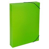 Короб архивный А4  50мм Expert Complete "Prisma neon" ЕС240441021 лайм,3Dэф.,пласт.,рез.,700мкм