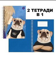 Тетрадь 96л. (клетка) А4 ЭКСМО спираль "Обнимашки" ТСЛ4965314 дв.обл.,мел.карт.