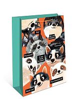 Пакет подар. Арт Дизайн 18*22,3*10см 0192.701