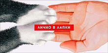 Конверт д/денег Арт Дизайн "Лично в лапки" 0322.328