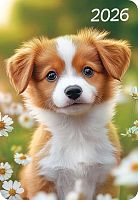 Календарь карм. 2026г. ЛИС "Собаки" КГ-26-355 уф-лак,64*93мм,карт.225г/м