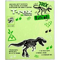 Набор обложек д/дневников,тетрадей deVENTE "T-Rex" 8051325 (3шт) 355*213 мм,ПВХ,140мкм,прозр.