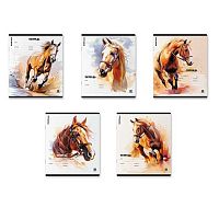 Тетрадь 18л. (линейка) EK "Wild Mane" 64845 асс.