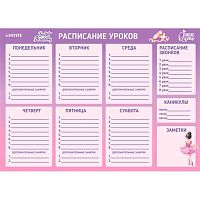 Расписание уроков А3 deVENTE "Ballet Academy" 6020500 лам.,магнитно-маркерное многораз.
