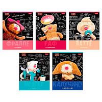 Тетрадь 24л. (клетка) ХАТ "Кофейные коты" мел.карт.,асс.