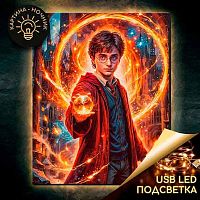 Картина по номерам LED подсветка Котеин "Гарри Поттер" 40*50см LHR0021 (24цв.)