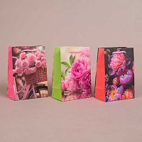 Пакет подар. Микрос 14*20см Женский Ч55635 лам.матовый микс