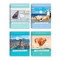 Тетрадь 48л. (клетка) BG спираль "Тот самый момент, когда..." 7662