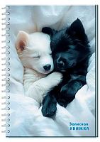 Записная книжка А5  96л. АППЛИКА спираль "Мимишные щенки" С0598-93 тв.обл.