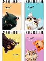 Блокнот А7  40л. Проф-Пресс спираль "Забавные котики-1" Б40-6385 клетка,мел.карт.