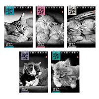 Блокнот А6  40л. АЛЬТ "Котята" 3-40-028 асс.