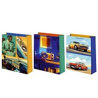 Пакет подар. Микрос 33*45см Мужской Ч55865 лам.матовый микс