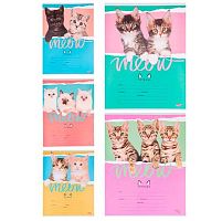 Тетрадь 12л. (линейка) Проф-Пресс "Друзья-котята-2" 12-4384 цв.мелов.обл.,5диз.