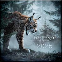 Календарь настенный 2025г. BG "Into a wild" 370751 мел.бум.,105г/м2,290*290мм,на скобе