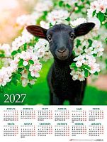 Календарь настенный листовой А2 2027г. ХАТ "Знак Года" 36886 мелов.,135г/м2 096991
