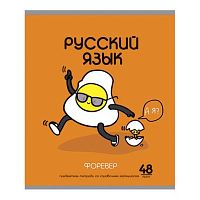 Тетрадь предм. 48л. ПЗБФ "ИИшница-Русский язык" 024581 мат.лам.,брайль (линейка)