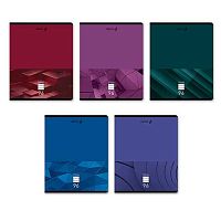 Тетрадь 96л. (линейка) СВЕТОЧ "Изящность линий" Т209 (01538) асс.