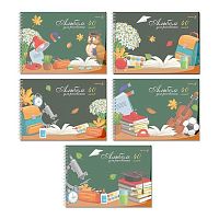 Альбом для рис.40л. SVETOCH спираль "Школьный уголок" А207 (01541) пластик.обл.