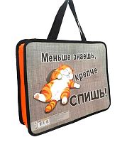 Папка пластик,с ручками А4 ПЧЕЛКА ПМ-А4-26 "Спящий котик" д/тетрадей