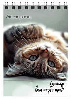 СБ Блокнот д/эскизов (скетчбук) А5-  30л. (верх. спираль) "Кошачья жизнь" б/линовки,180г/м2,140*200