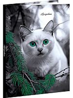 Ежедневник н/д А5  80л. Проф-Пресс тв.обл. "Зеленоглазый кот" 80-6761 цв.мел.обл.