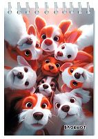 Блокнот А6  48л.  АППЛИКА спираль "Щенок. Селфи" С0511-160 клетка,карт.,блёстки