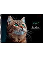 Альбом для рис.40л. Проф-Пресс спираль "Зеленоглазый котик" А40-8350 выб.лак,мат.лам.,бл.100г/м2