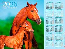 Календарь настенный листовой А2 2026г. ХАТ "Год Лошади" 34501 мелов.,с укрупн.сеткой