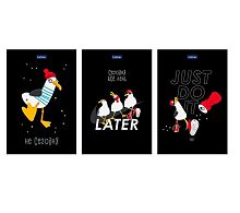 Блокнот А6  40л. ХАТ Premium "Приключения чайки" склейка,клетка,обл.мел.,глянц.лам.