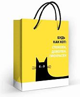 Пакет подар. (S) "Будь как кот" 1.0000253 мат.лам.,13,5*11см