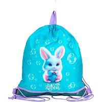 Сумка д/обуви deVENTE 40*47см "Little Rabbit" 7040632 бирюзовая,водооттал.ткань,1отд.
