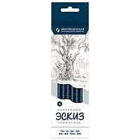 Карандаши ч/гр. ВКФ "Эскиз"  8шт. 8B-1700 12М(12B),10М(10B),8М(8B),6М(6B),4М(4B),2М(2B),М(B),ТМ(HB)